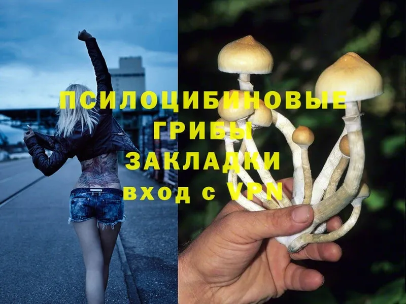 Галлюциногенные грибы Cubensis  Бавлы 